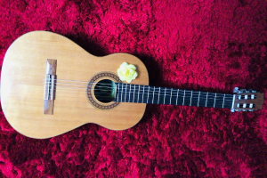 Zahra's guitar