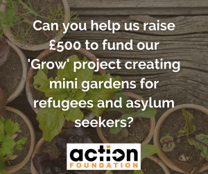 Can you help us raise £500 to fund our Grow project?