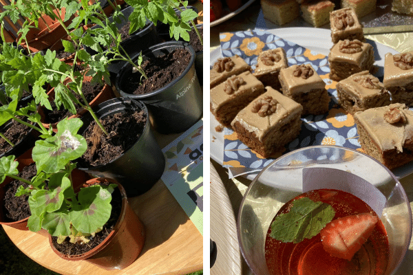 Plants and Cakes